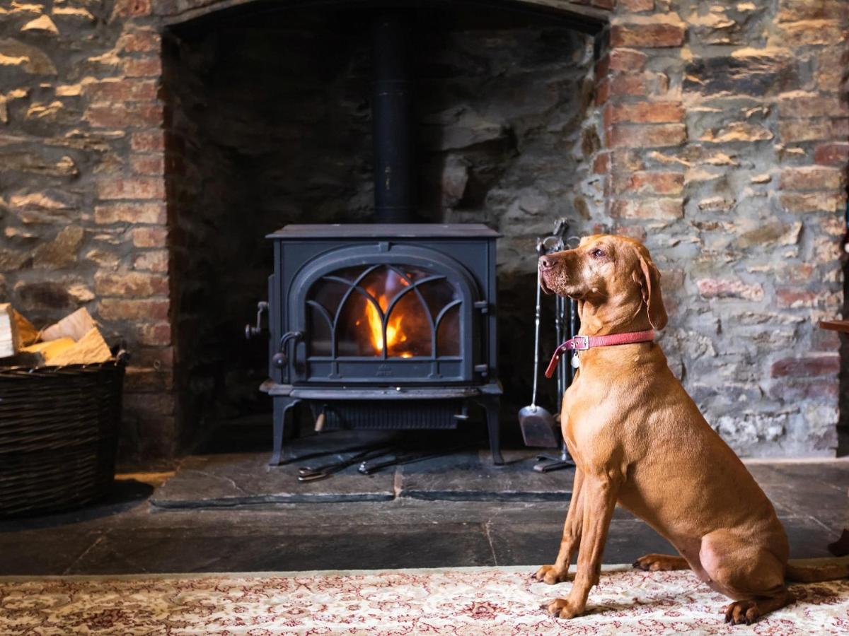 Pengelly Farmhouse B&B Truro Zewnętrze zdjęcie